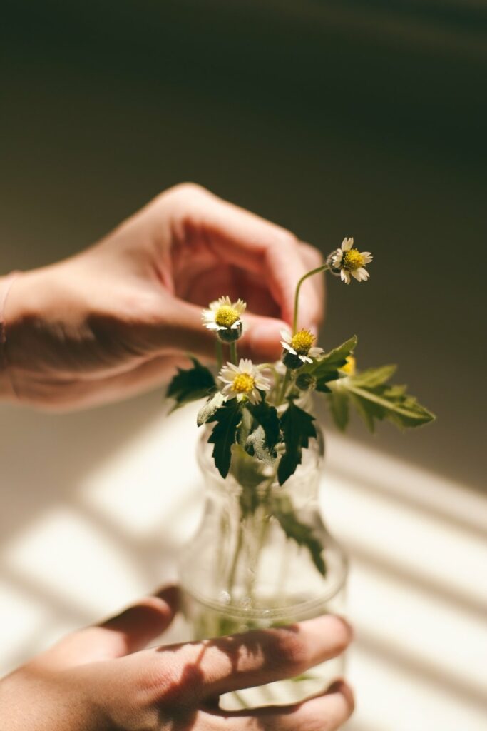 La vuelta a la naturaleza sin ser hippie