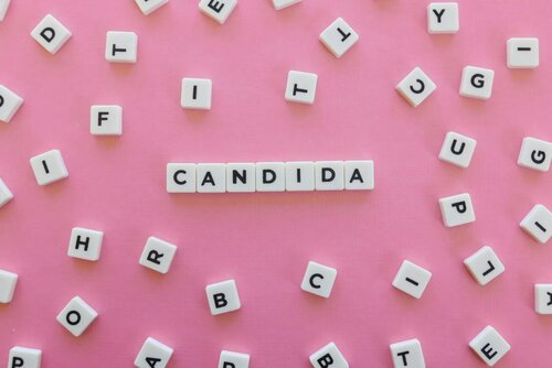 candida 1140x762 1