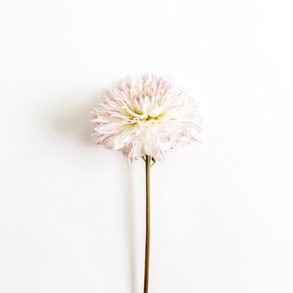 Piel radiante durante la menopausia